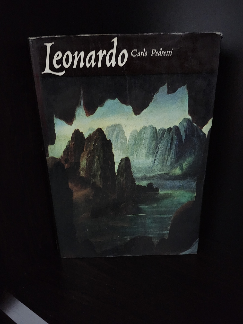 Old Book First Edition Leonardo da Vinci Chronology 1973 Style Carlo Pedretti